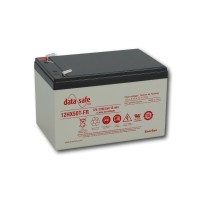 Аккумуляторна батарея EnerSys DataSafe 12HX50 (13Аг***)