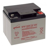 Аккумуляторна батарея EnerSys Genesis NP 38-12