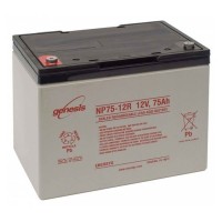 Аккумуляторна батарея EnerSys Genesis NP 75-12