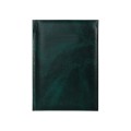 Щоденник недатований, ECONOMIX PRIME, зелений, А5