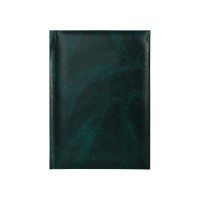 Щоденник недатований, ECONOMIX PRIME, зелений, А5