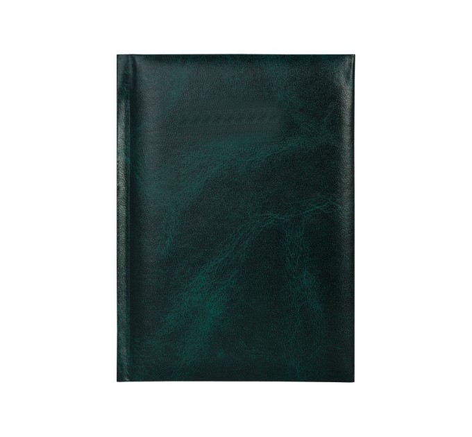 Щоденник недатований, ECONOMIX PRIME, зелений, А5