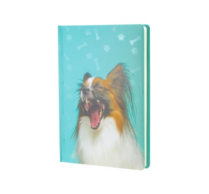 Щоденник недатований, ECONOMIX А5