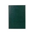Щоденник недатований, ECONOMIX BASIC, зелений, А5