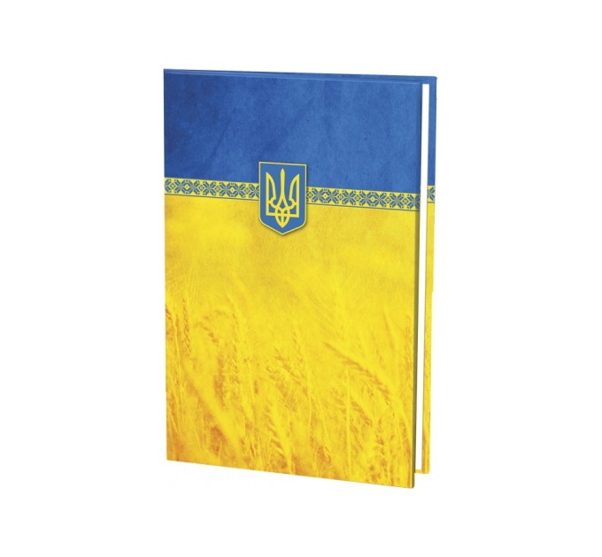 Папка до підпису повнокольорова, жовто-блакитна