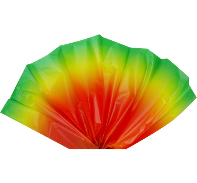 Папір тішью, 20г/м, 2 аркуші 50*70 см Rainbow