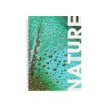 Блокнот А5, 80 арк., NATURE, клітинка, спіраль