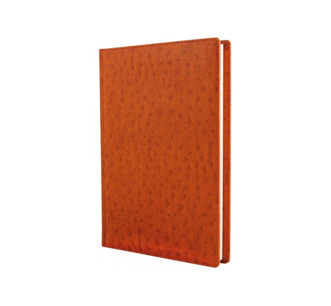Щоденник недатований Cabinet, Ostrich, коричневий, А5