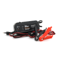Автомобільне ЗУ BYGD 12V,85-240V,1.5А,LED-індикація,клеми(AGM / GEL / Lead)