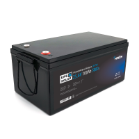 Літій-залізо-фосфатний акумулятор Merlion LiFePO4 25.6V 100AH ​​(8S2P / BMS-100A), (522x238x225), до 5000 циклів