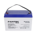 Акумуляторна батарея PANTEC 100-12 GEL 12V 100 Ah (330 x 173 x 218), 30.4 kg Grey Q1 / 48