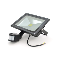 Прожектор LED з датчиком руху RJ-G-30W, IP66, 6400K (100%)
