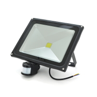 Прожектор LED з датчиком руху RJ-G-50W, IP66, 6400K (100%)