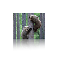 Килимок 250*300 тканинний Two Bears, з боковою прошивкою, товщина 2 мм