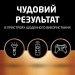 Батарейка 6LR61 лужна, MN1604, блістер, 1 шт. Duracell (5015742/5006014/5014437/5015741)