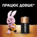 Батарейка C-LR14 лужна, MN1400 KPN, блістер, 2 шт. Duracell (5014580/5006001/5014436)