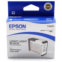 Картридж T580900 світло світло-чорний Epson (C13T580900)