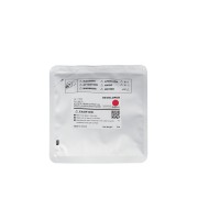 Девелопер Kyocera Ecosys P5021, 302R793050 DV-5230M 94г, пурпуровий CET Девелопер Kyocera Ecosys P5021, 302R793050 DV-5230M 94г, пурпуровий CET