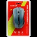 Миша бездротова оптична MW-5 синя Canyon (CNE-CMSW05BL)