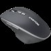 Миша бездротова оптична MW-21 темно-сіра Canyon (CNS-CMSW21DG)