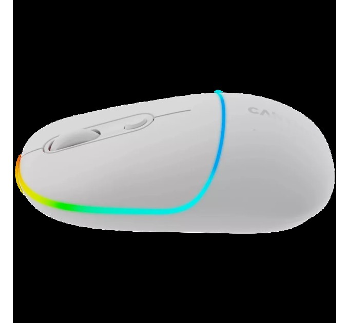Миша бездротова оптична MW-22 біла Canyon (CNS-CMSW22SW)