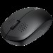 Миша бездротова оптична MW-04 чорна Canyon (CNS-CMSW04B)