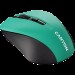 Миша бездротова оптична MW-12 зелена Canyon (CNE-CMSW1GR)