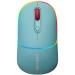 Миша бездротова оптична MW-22 темно-синя Canyon (CNS-CMSW22DC)