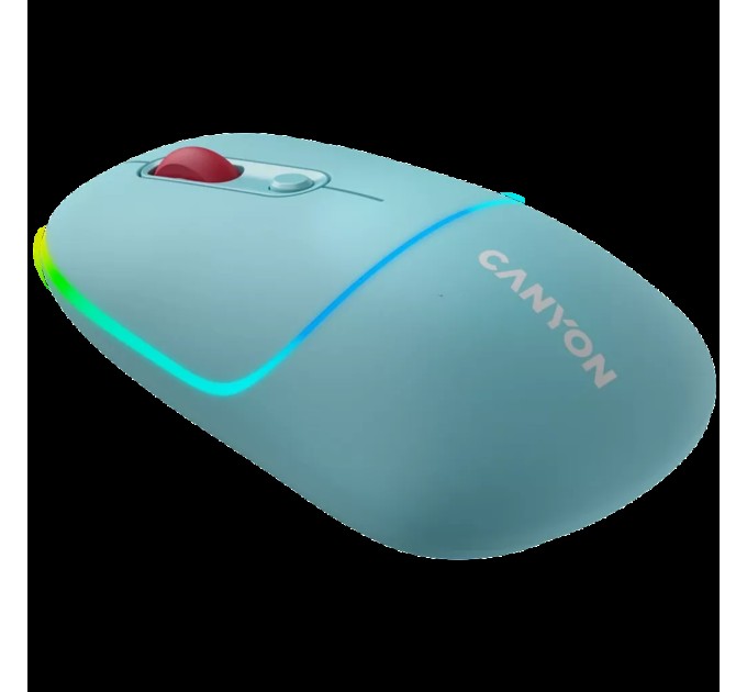 Миша бездротова оптична MW-22 темно-синя Canyon (CNS-CMSW22DC)