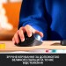 Миша бездротова Ergo M575 for Business Trackball, графітова Logitech (910-006221)